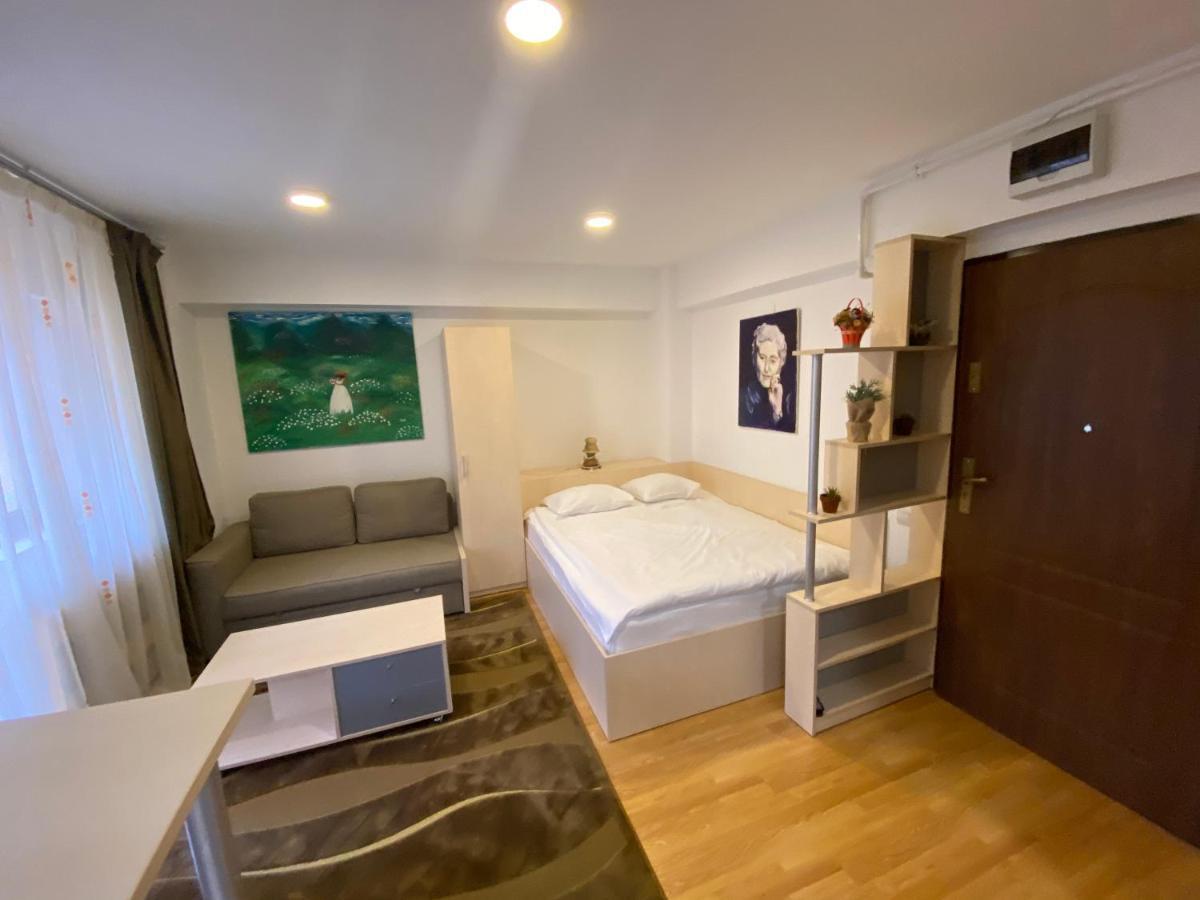 Sinaia Chic Minisuite Mirage-Self Check-In&Free Parking Exterior photo