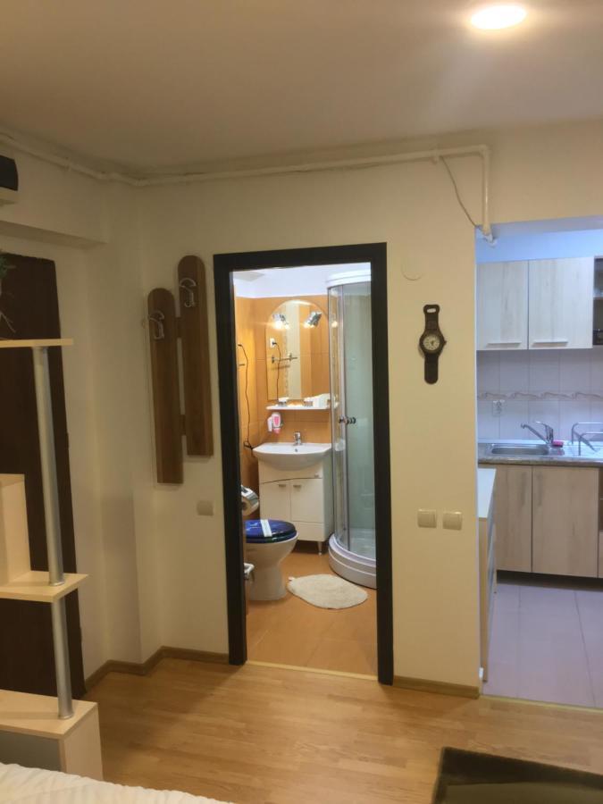 Sinaia Chic Minisuite Mirage-Self Check-In&Free Parking Exterior photo